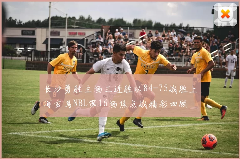 长沙勇胜主场三连胜以84-75战胜上海玄鸟NBL第16场焦点战精彩回顾