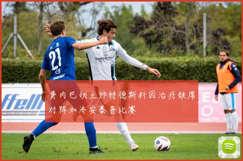 费内巴切主帅特德斯科因治疗缺席对阵加济安泰普比赛