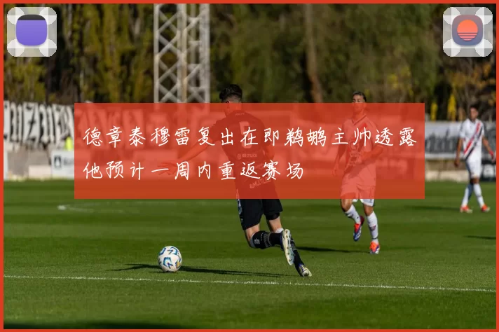 德章泰穆雷复出在即鹈鹕主帅透露他预计一周内重返赛场